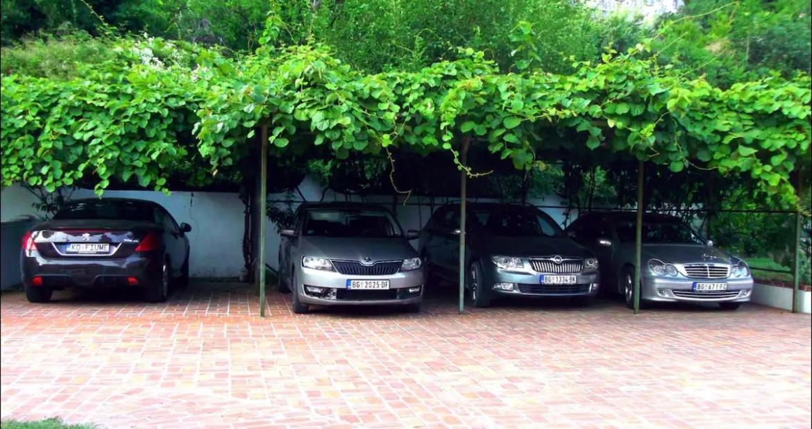 Carine Garden Daire Risan Dış mekan fotoğraf