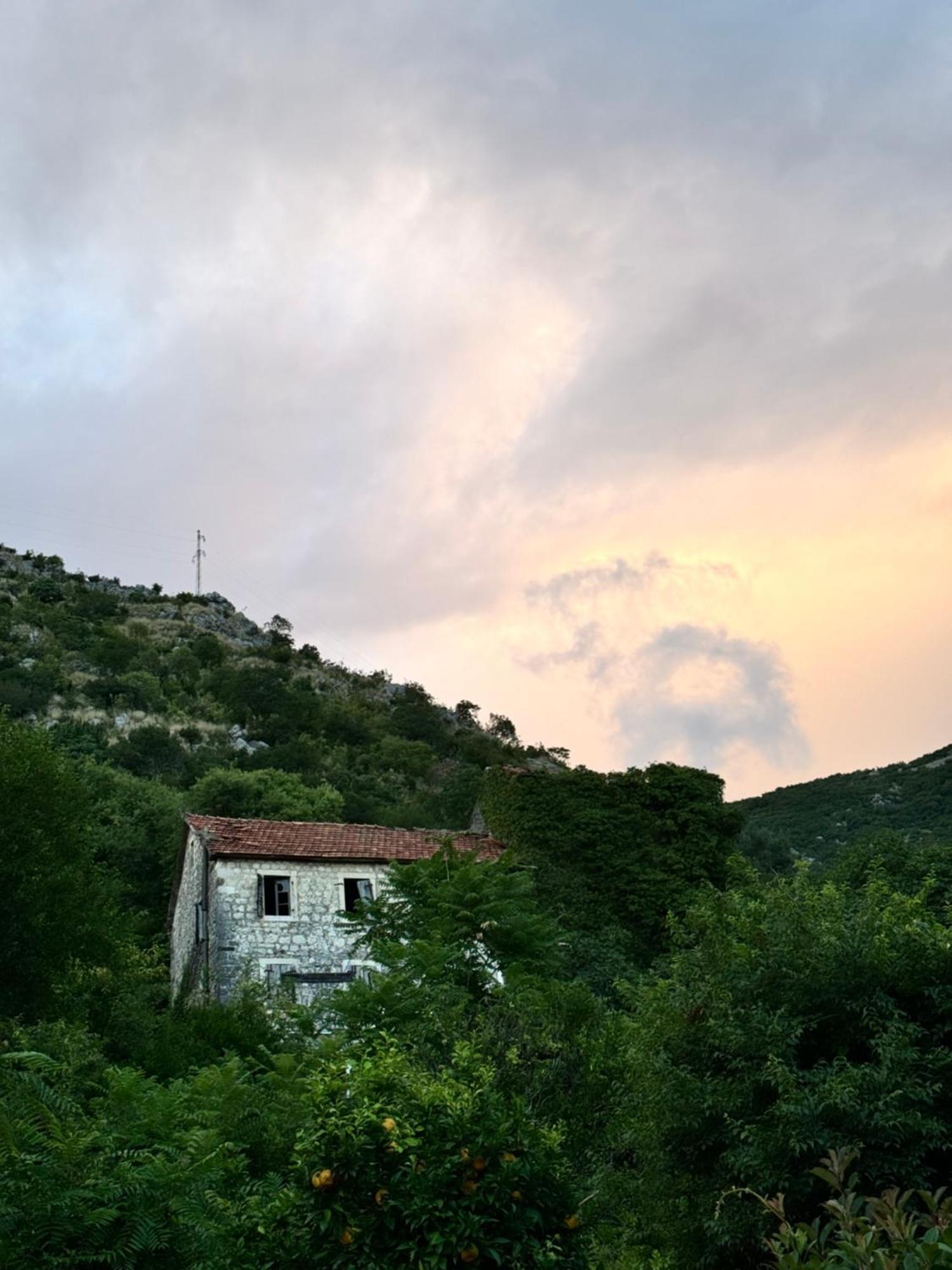 Carine Garden Daire Risan Dış mekan fotoğraf