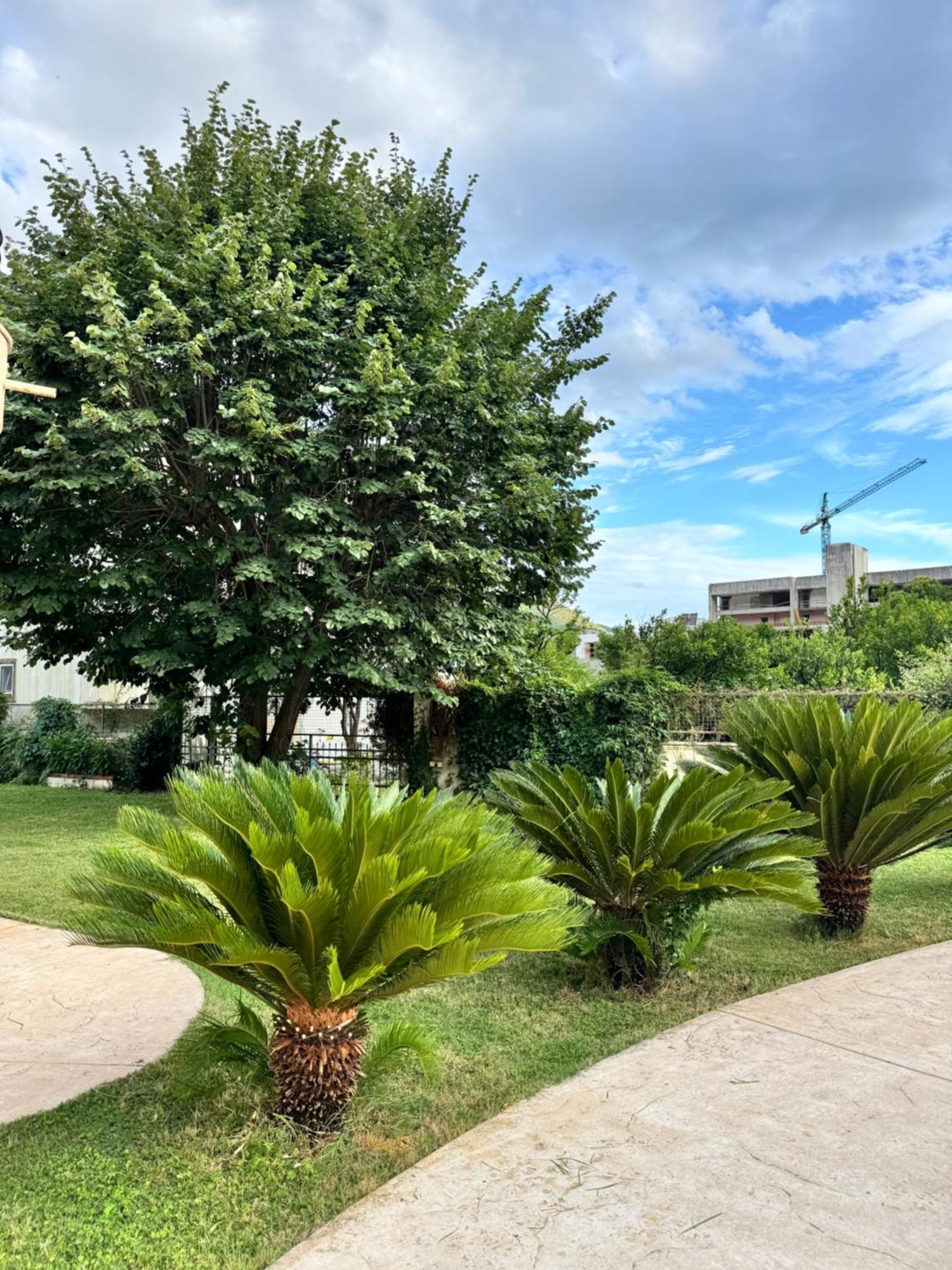Carine Garden Daire Risan Dış mekan fotoğraf